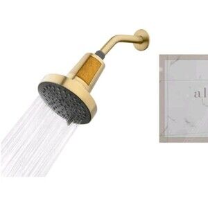 Allen + roth Lillian  Brushed Gold Round Filtered Shower Head 6033953